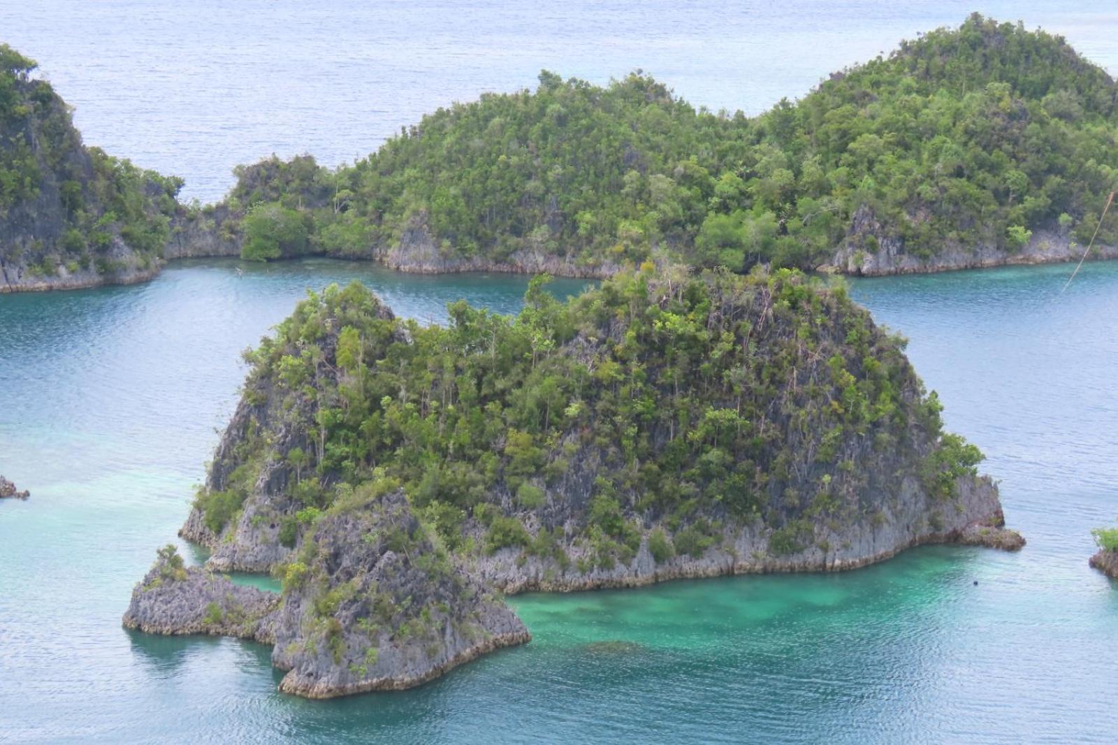 Nyanse Homestay - Raja Ampat Besir Buitenkant foto