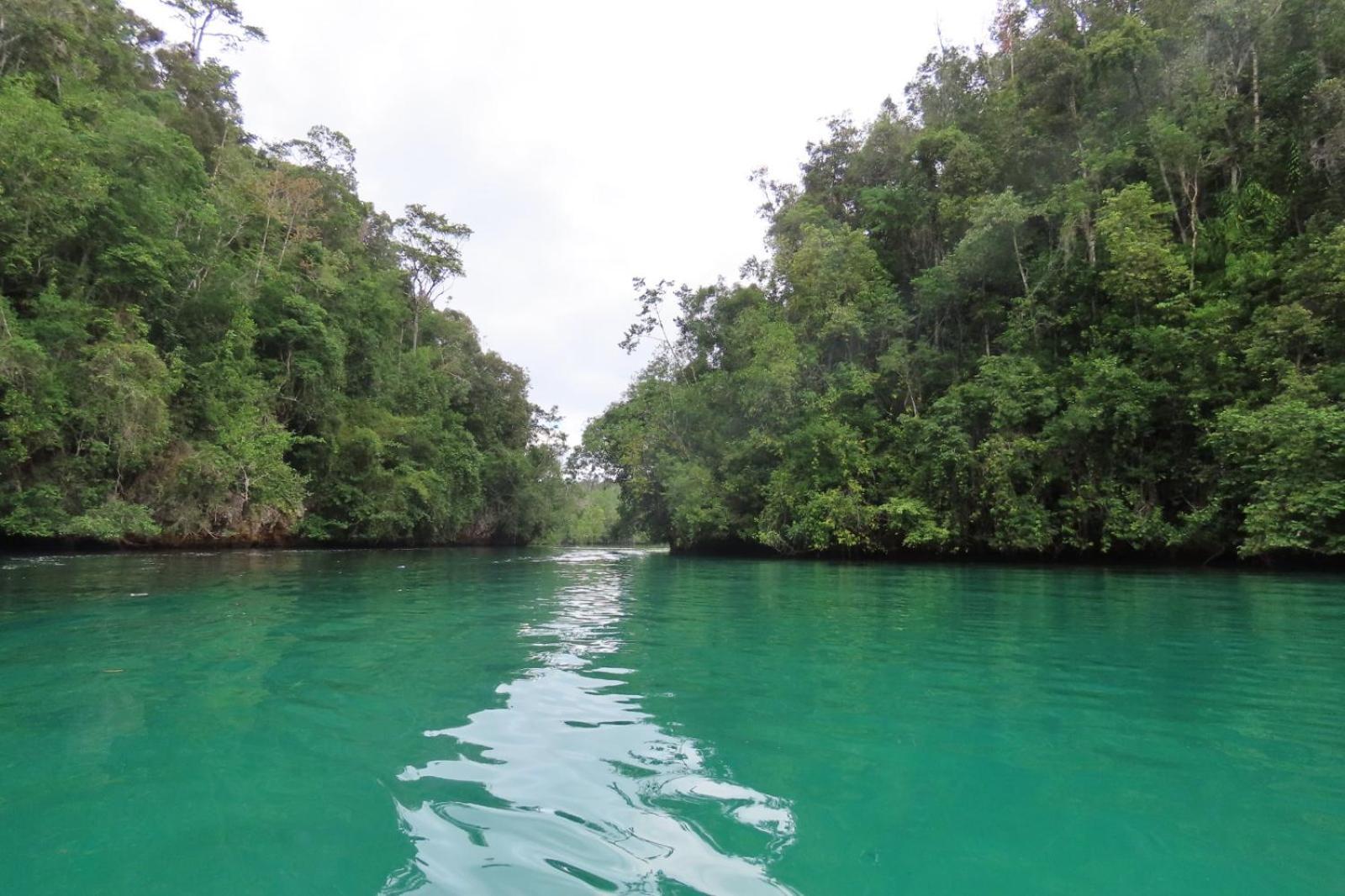 Nyanse Homestay - Raja Ampat Besir Buitenkant foto