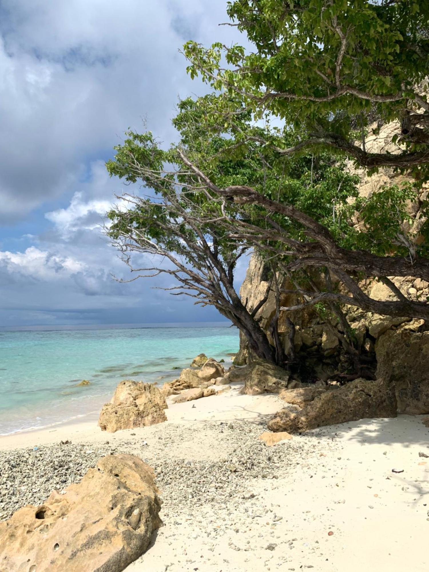 Nyanse Homestay - Raja Ampat Besir Buitenkant foto