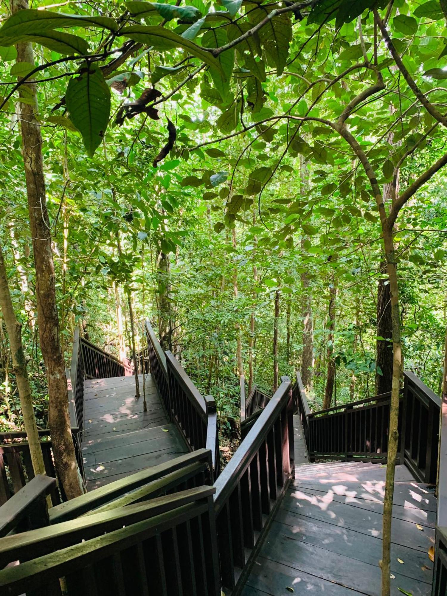 Nyanse Homestay - Raja Ampat Besir Buitenkant foto