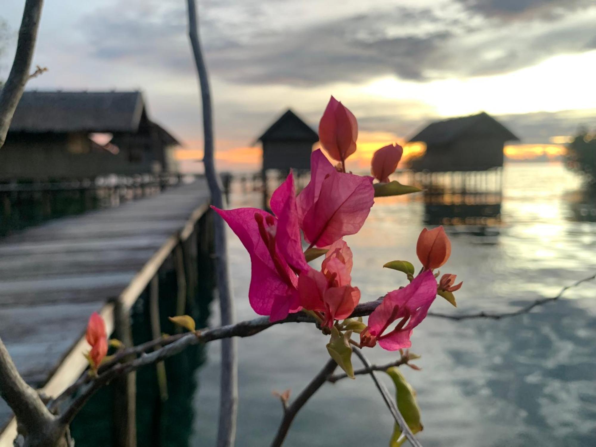 Nyanse Homestay - Raja Ampat Besir Buitenkant foto